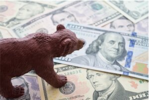 Bear on 100 dollar bills