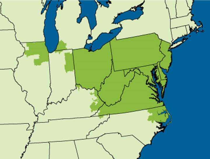 United States Map With PJM Area In Dark Green United States map with PJM area in dark green